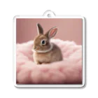 キャリーのふわふわのクッションで遊ぶウサギの赤ちゃん Acrylic Key Chain