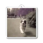 _ryosuke_tvの愛犬 Acrylic Key Chain