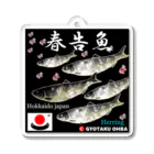 G-HERRINGの春告魚　鰊（ニシン；Hokkaido japan）あらゆる生命たちへ感謝をささげます。 Acrylic Key Chain