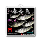 G-HERRINGの春告魚　鰊  鳥居（ニシン；Hokkaido japan）あらゆる生命たちへ感謝をささげます。 Acrylic Key Chain