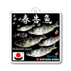 G-HERRINGの春告魚　小樽（鰊；ニシン；Hokkaido japan）あらゆる生命たちへ感謝をささげます。 Acrylic Key Chain