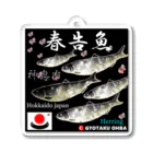 G-HERRINGの春告魚　神恵内（鰊；ニシン；Hokkaido japan）あらゆる生命たちへ感謝をささげます。 アクリルキーホルダー