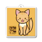 にこねこ【保護猫の保育園】のプリンちゃんキーホルダー Acrylic Key Chain