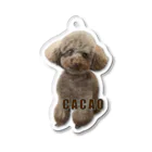 ペットイラスト屋　korisallyのCacaoロゴ入り Acrylic Key Chain