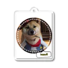 117hibikiの柴犬COOUo･ｪ･oU Acrylic Key Chain