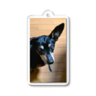 watama33の左耳立犬 Acrylic Key Chain