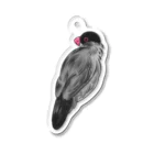 suzuaoのふさふさ文鳥くん Acrylic Key Chain