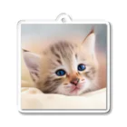 ks-staffの😺癒し猫シリーズ💖 Acrylic Key Chain