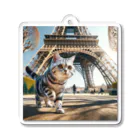 japantravelの猫のパリ散歩 Acrylic Key Chain