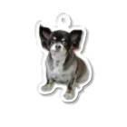 遥ん/犬顔絵　のチキンちゃん　キーホルダー Acrylic Key Chain