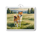 Animal Illustration shopの柴犬　Shiba Inu　水彩画風 アクリルキーホルダー