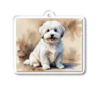 Animal Illustration shopのコトン・ド・テュレアール　Coton de Tulear　水彩画風 Acrylic Key Chain