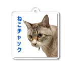 チャック Chuckのねこチャック Acrylic Key Chain