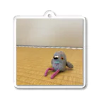 liliumのひとやすみぽっぽちゃん Acrylic Key Chain