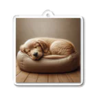 bibiboshopの犬 Acrylic Key Chain