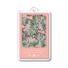 Lutrinaeのモンステラ / Monstera × Music Player Pink【縦長】 Acrylic Key Chain