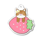 🐈AnimalsCanSpeak🐶の【おねむねこ】いちご乗り猫ちゃん（茶トラ白） アクリルキーホルダー