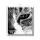 sisyの家ねこガン飛ばす。（アフター） Acrylic Key Chain