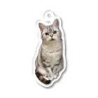 うちの猫ちゃんたちの数少ない美男子とらと Acrylic Key Chain