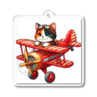 calico starの三毛猫プクちゃん　飛行機 アクリルキーホルダー