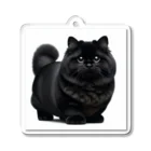 しょっぷトミィの黒猫 Acrylic Key Chain