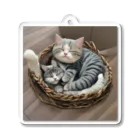 恥ずかしがり屋のねこショップのcute cat sleeping Acrylic Key Chain