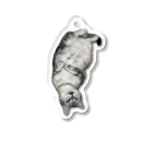 うちの猫ちゃんたちの変死体風とらと_No.1 Acrylic Key Chain