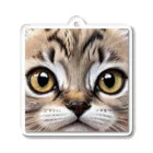 HIROICの近接子猫 Acrylic Key Chain