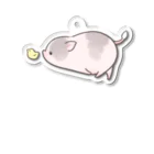 しらたまちゃんSHOPu〜🐽のヒヨコとしらたまちゃん Acrylic Key Chain