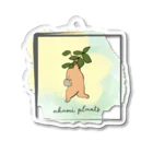 akami plantsのがじゅまるくん アクリルキーホルダー