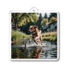 kokin0の水辺を走る犬 dog runnning on the water アクリルキーホルダー