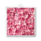 オンラインショップイエローリーフのピンクの花　桜　綺麗 アクリルキーホルダー