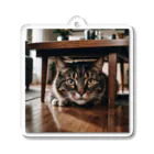 zigerparkの隠れる猫 Acrylic Key Chain