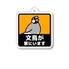 たかはらの文鳥が家にいます Acrylic Key Chain