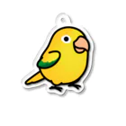 Cody the LovebirdのChubby Bird ニョオウインコ Acrylic Key Chain