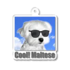 マルチーズ本舗 （夜明けのマルチーズ グッズショップ －Specialty Store for Maltese Puppy Goodsー） Cute and Cool Puppy Goods Store.の夜明けのマルチーズ おもしろ子犬グッズシリーズ（ Cute and cool puppy. ） アクリルキーホルダー