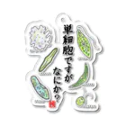 くいなの母の単細胞ですが、なにか？(カラー) Acrylic Key Chain