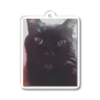 黒猫sceneryの黒猫のミニクロくん Acrylic Key Chain