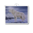 アラスカ野生動物画家きむらけいのSNOWMOON Acrylic Key Chain