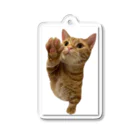 短足マンチカンのベビラテ の/iPhoneケース　猫 Acrylic Key Chain