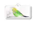 水色堂のバターナイフで遊ぶセキセイインコ Acrylic Key Chain