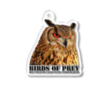 有限会社サイエンスファクトリーのBIRDS OF PREY ベンガルワシミミズク Acrylic Key Chain