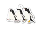 きゅう🐧イラストレーターの僕たちピゴセリス Acrylic Key Chain