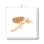 Aquarium Art_by Yamaのキーホルダー「アカウミガメ」 Acrylic Key Chain