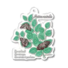 kitaooji shop SUZURI店のアカボシゴマダラとエノキ Acrylic Key Chain