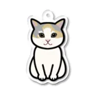 Yuika Shiomiのneko キーホルダー Acrylic Key Chain