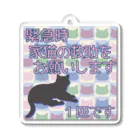 紅天本舗の猫救助願います＊1匹 Acrylic Key Chain