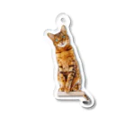 あこねこのお店のベルガルネコさん Acrylic Key Chain