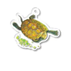 めろんぽっぷのお店だよの泳いできたよ、ニホンイシガメ Acrylic Key Chain