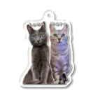 ねこほうチャンネル公式グッズのハムマロ姉妹キーホルダー Acrylic Key Chain